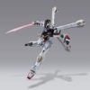 Metal Build Crossbone Gundam X1-10829