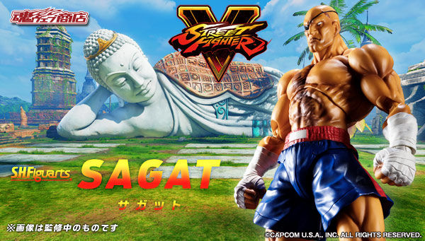 Street Fighter S.H. Figuarts Sagat